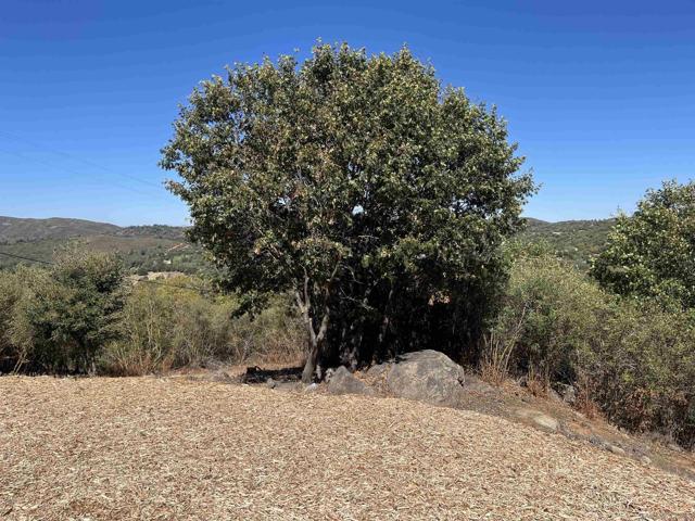 17099 Iron Springs Rd, Julian CA: https://media.crmls.org/mediaz/0eb110f6-06c5-4256-b122-286a13ba3e63.jpg