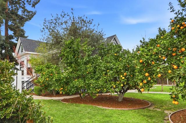 1085 Camino Ramon, San Jose CA: https://media.crmls.org/mediaz/0eb3d850-f1c4-4c49-b79a-5ef583c83300.jpg