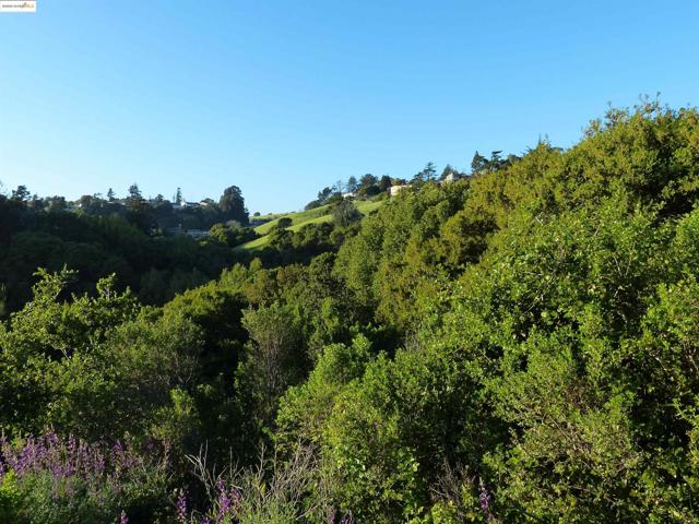 11275 Kerrigan Dr, Oakland CA: https://media.crmls.org/mediaz/0eb463a4-21e7-4e79-9700-410baba60085.jpg