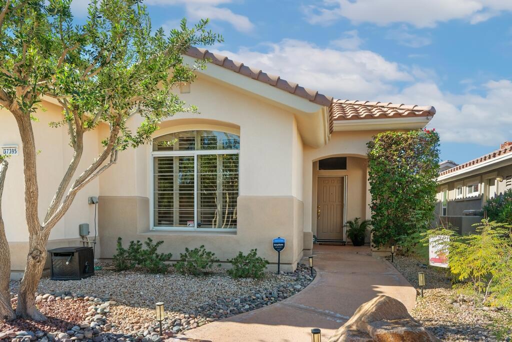 37395 Purple Shadow Road