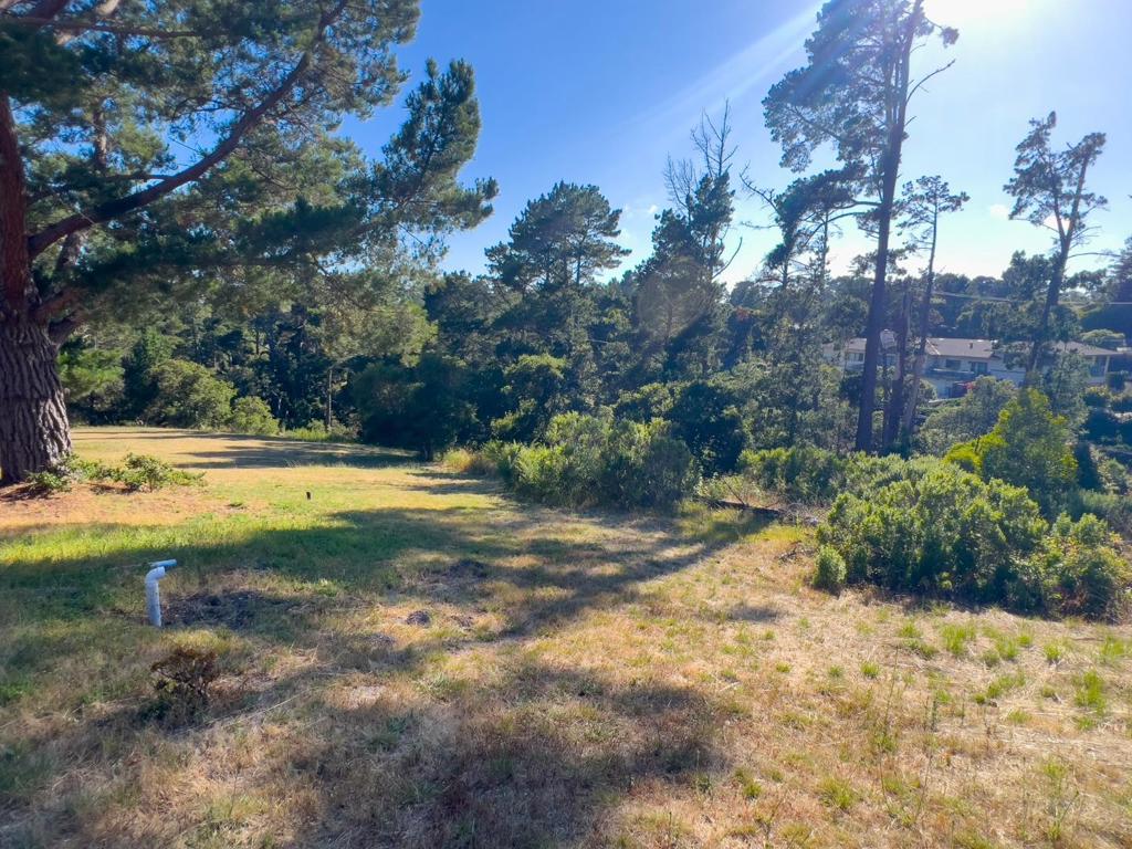 MLS #ML81971263 image #7