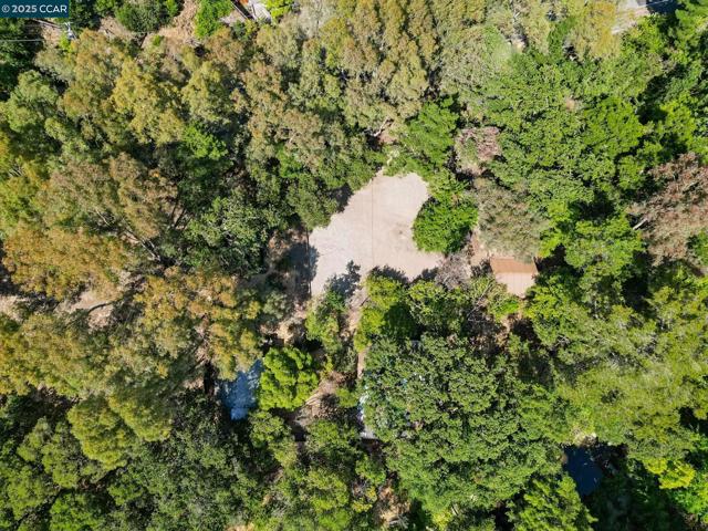 1491 Boulevard Way, Walnut Creek CA: https://media.crmls.org/mediaz/0ebfeb90-955f-4857-be4f-24027c8f4fc7.jpg