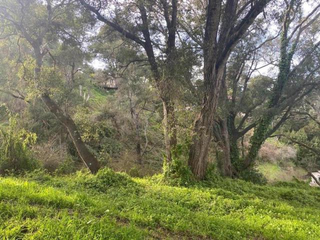 0 Encino Dr Drive, Aptos CA: https://media.crmls.org/mediaz/0ec72e73-6050-43f7-9e4b-0f62b05446b1.jpg