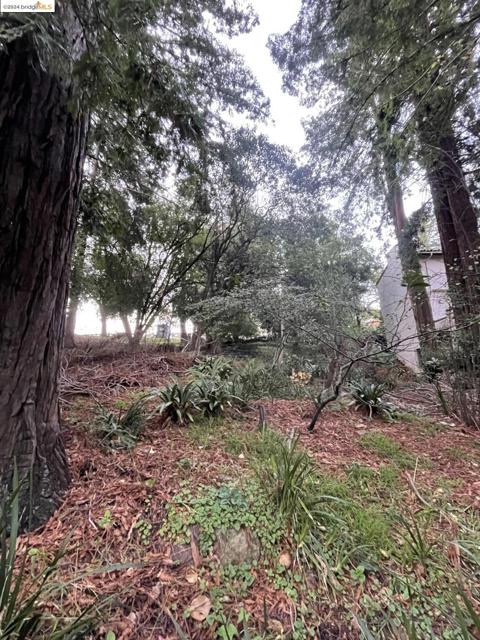 Image 6 of 9 For 962 Regal Rd