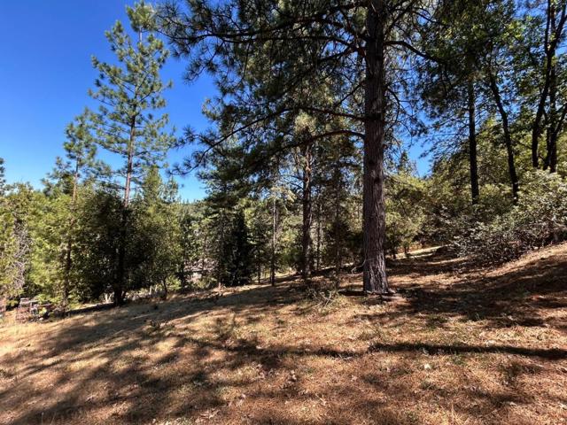 1720 Jacobs Way, Placerville CA: https://media.crmls.org/mediaz/0ed6ba2b-72e0-4b68-9efc-99c1255fe71b.jpg