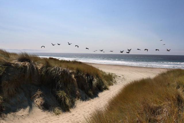 101 Shell Drive, La Selva Beach CA: https://media.crmls.org/mediaz/0ed6ef40-a8be-4a29-a115-d39a225259d5.jpg