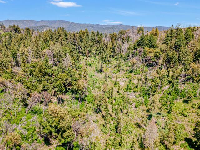 0 Memory, Boulder Creek CA: https://media.crmls.org/mediaz/0edcb7fa-62b1-425b-8db3-05af5e95cc7d.jpg