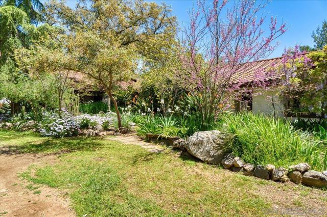 24903 Oakana Rd, Ramona CA: https://media.crmls.org/mediaz/0ee5225f-3721-4d2a-a03a-032d673bccec.jpg