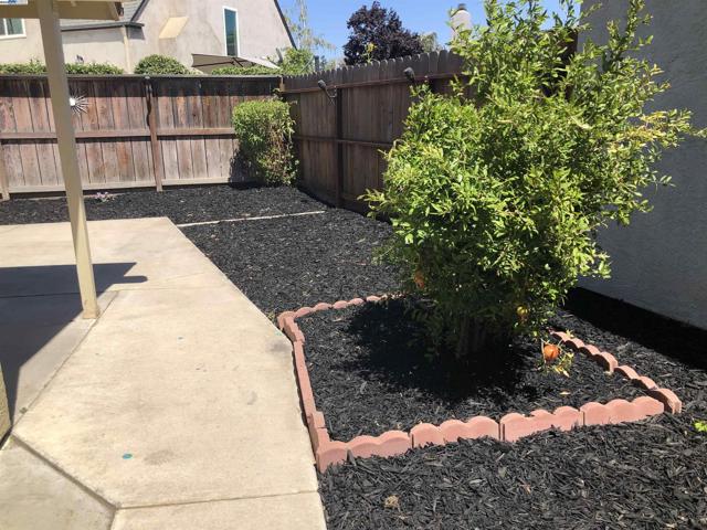 1023 Snowgoose Ln, Manteca CA: https://media.crmls.org/mediaz/0ef717ea-57f4-46a3-9502-70db2f4a9978.jpg