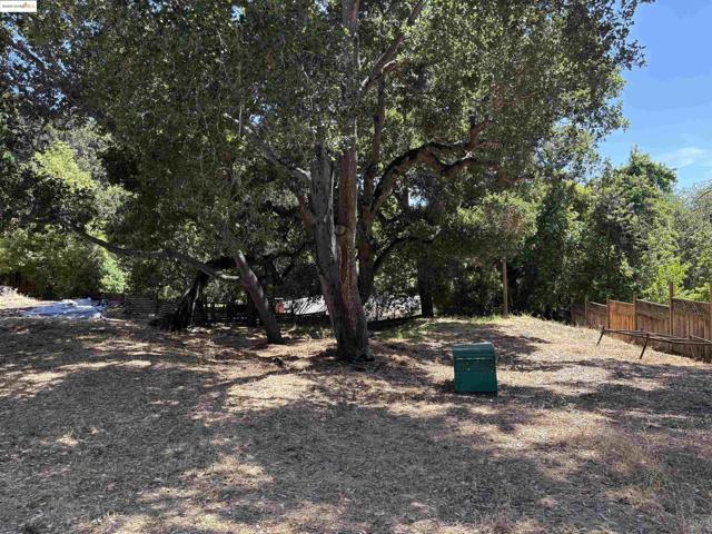 5415 Leona Street, Oakland CA: https://media.crmls.org/mediaz/0efb668d-9708-4944-9c44-e6c54d56ebba.jpg