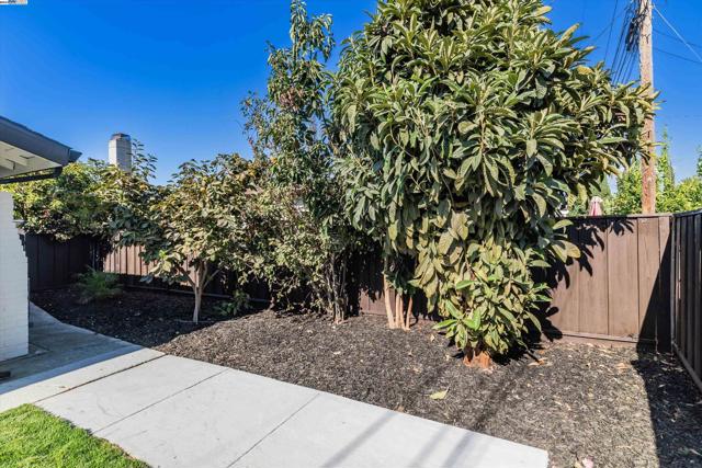 Image 42 of 49 For 344 Silvertip Ct