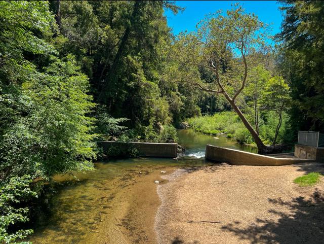 241 Redwood Way, Boulder Creek CA: https://media.crmls.org/mediaz/0f0a18d6-4983-4a15-91e1-26d86278bae7.jpg