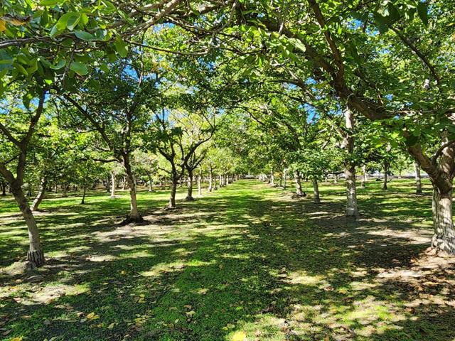 3719 N Hart Road, Modesto CA: https://media.crmls.org/mediaz/0f0e6089-3d49-43ea-a8f9-1e9119742f81.jpg