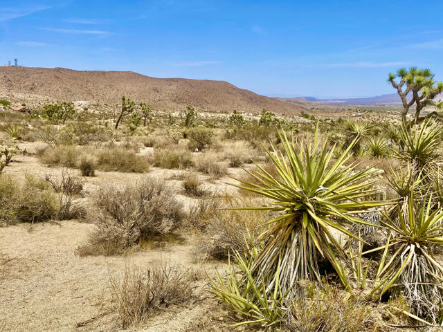 104 Bandera Road, Yucca Valley CA: https://media.crmls.org/mediaz/0f0ecfe0-6397-4a35-8085-58d1b67a604e.jpg