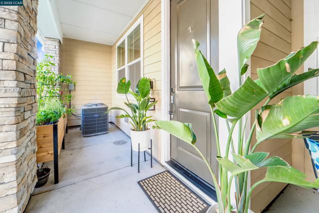 1233 Bockman, San Lorenzo CA: https://media.crmls.org/mediaz/0f10f467-9b52-4ef4-bb97-fc32c5863270.jpg