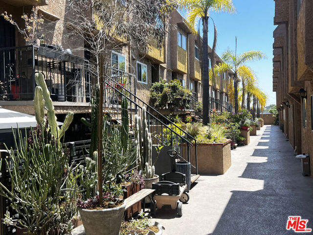 1890 S Cochran Avenue, Los Angeles CA: https://media.crmls.org/mediaz/0f27bc1a-c614-4bad-baf5-69abe89546c7.jpg