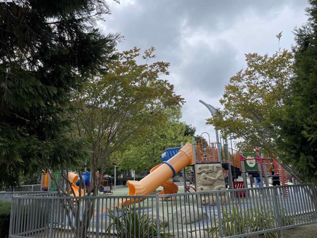 2835 Alvarado Ave, San Mateo CA: https://media.crmls.org/mediaz/0f2e38be-fde1-4d3f-b062-50d9991a1b42.jpg