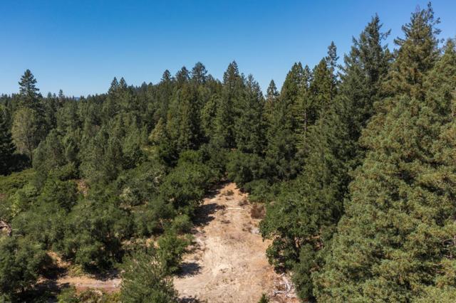 225 Santa Cruz Street, Boulder Creek CA: https://media.crmls.org/mediaz/0f350a30-a9ec-41a6-a406-4767e59e3f5a.jpg