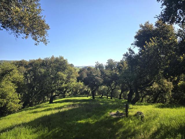 16 SLEEPY HOLLOW DRIVE, Carmel Valley CA: https://media.crmls.org/mediaz/0f5281b2-0d47-4eb3-bc11-40a9f8d17fd4.jpg