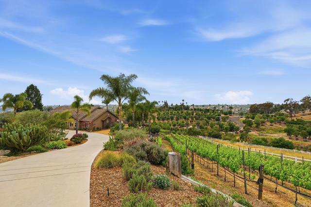 Detail Gallery Image 52 of 57 For 1655 Colina, Fallbrook,  CA 92028 - 3 Beds | 2 Baths