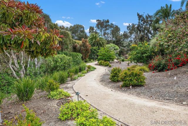 16590 Calle Familia, Rancho Santa Fe CA: https://media.crmls.org/mediaz/0f563b64-e787-45b5-b835-6e8e8b310633.jpg
