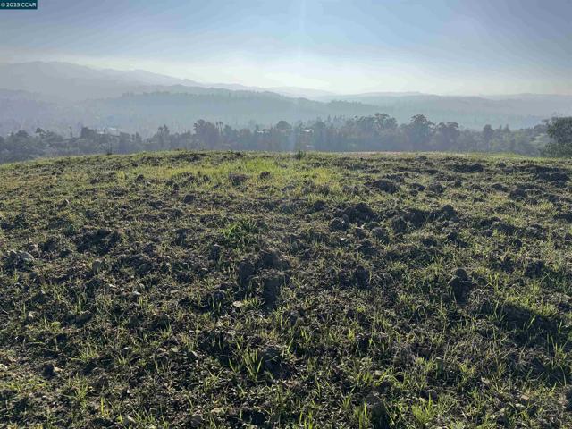 43 Cuesta way, Walnut Creek CA: https://media.crmls.org/mediaz/0f5c8ccf-17a3-47e7-a19a-f2045ccb78ea.jpg