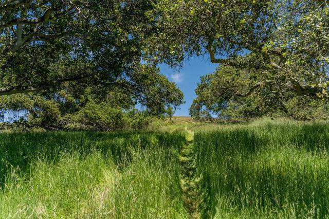 100 Old Stage Rd, San Juan Bautista CA: https://media.crmls.org/mediaz/0f6276f7-5fdc-4c24-b457-c1875a892fd1.jpg