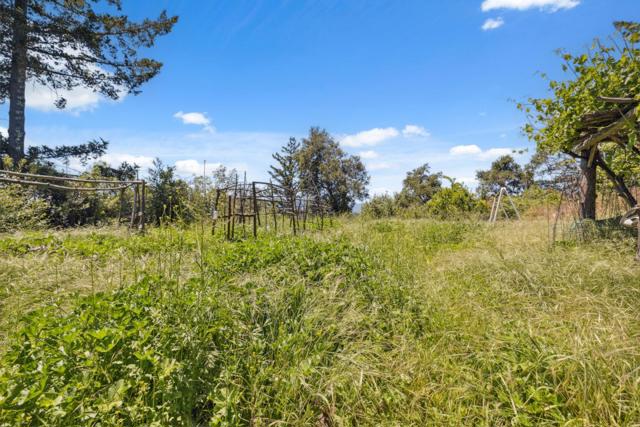 1495 Dons Road, Boulder Creek CA: https://media.crmls.org/mediaz/0f6277c4-6561-4971-8be9-c6e81804c1c5.jpg