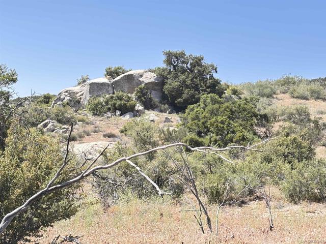 Image 5 of 10 For 38430 Lilac Ln.