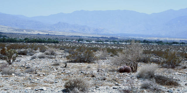 1 Camino Zangiri, Desert Hot Springs CA: https://media.crmls.org/mediaz/0f6d5528-87b9-4704-b167-07b986678081.jpg