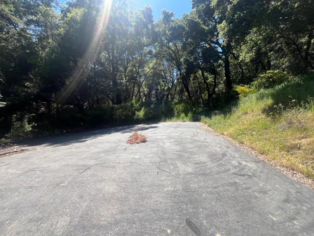 201 Hill House Road, Boulder Creek CA: https://media.crmls.org/mediaz/0f7abf37-2273-40cb-9f8f-1c3c1dce9a35.jpg