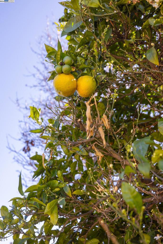 https://media.crmls.org/mediaz/0f7afb0c-aa26-408c-8053-a4ae52628393.jpg?preset=X-Large