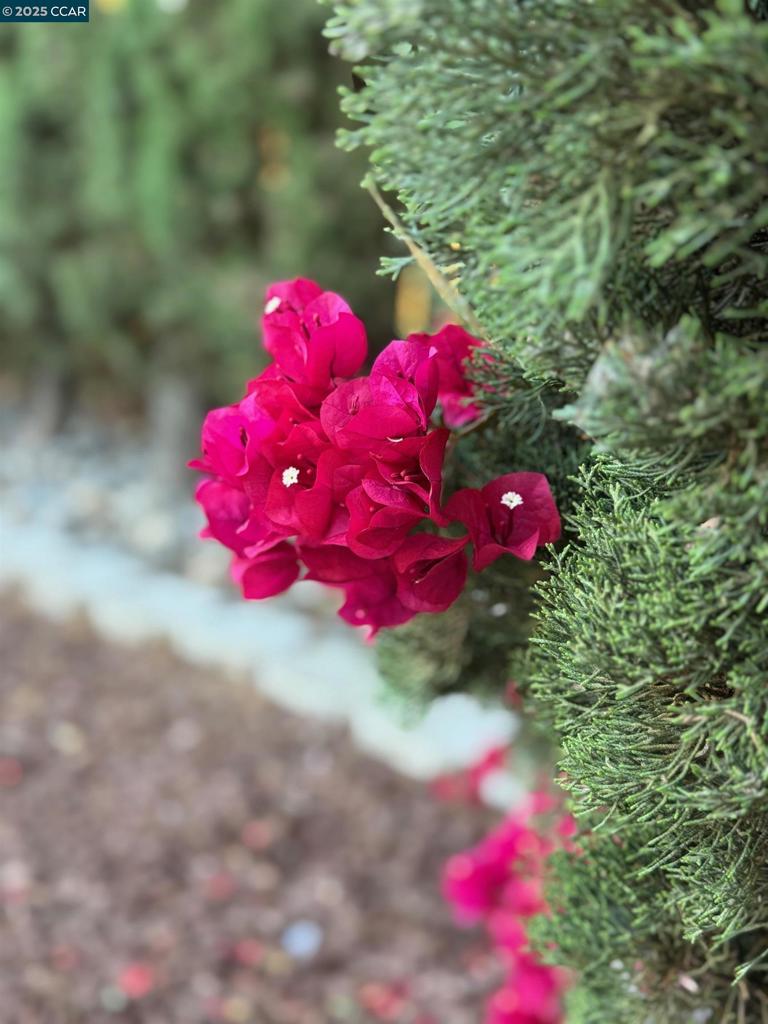 https://media.crmls.org/mediaz/0f7be2dc-0768-4f7d-8853-75acc45aaa77.jpg?preset=X-Large