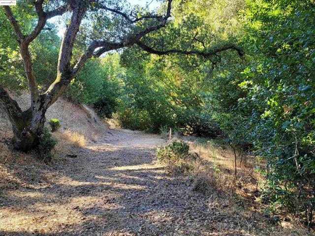 40 Hilldale Ct, Orinda CA: https://media.crmls.org/mediaz/0f80939e-c67a-47f3-ac7e-132a18748c47.jpg