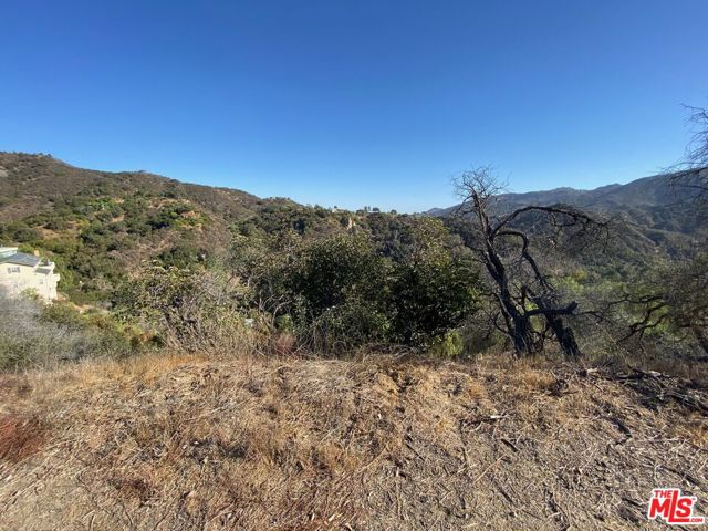 0 Mount Prospect/Topanga Skyline Drive photo 11