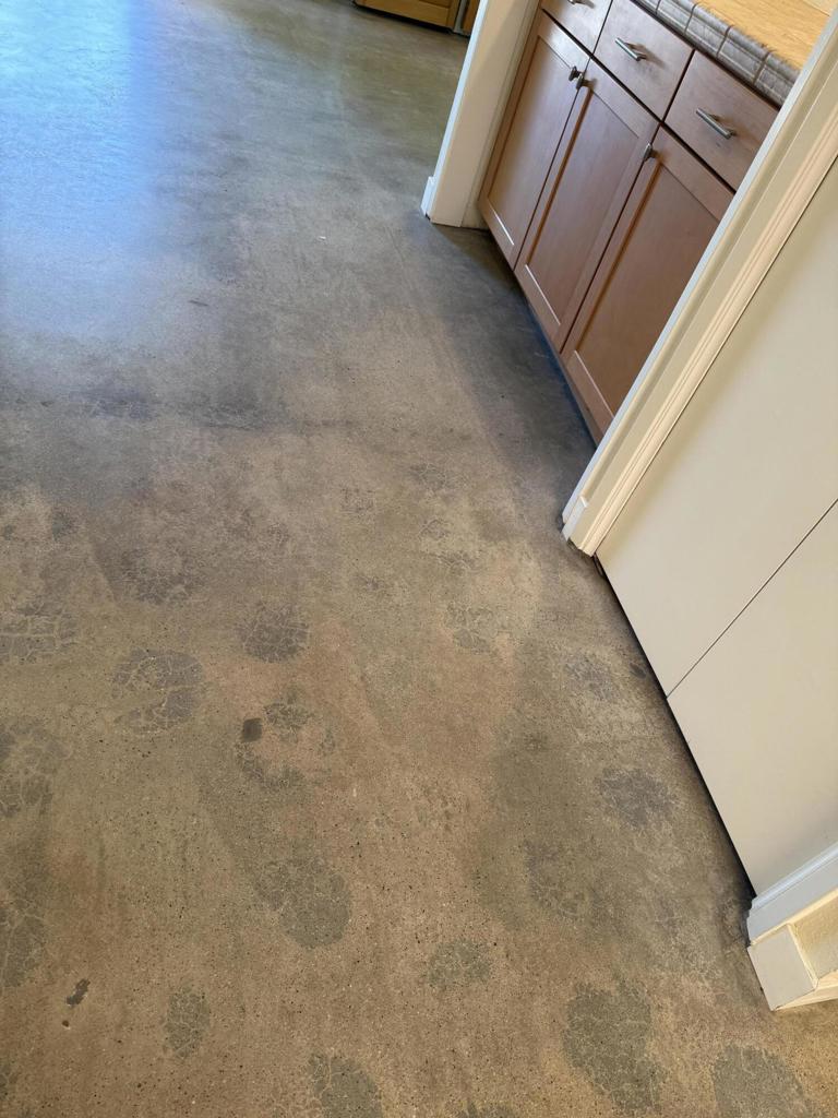 MLS #219133834PS image #19