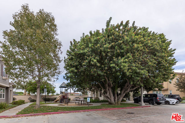 576 Athena Place photo 59