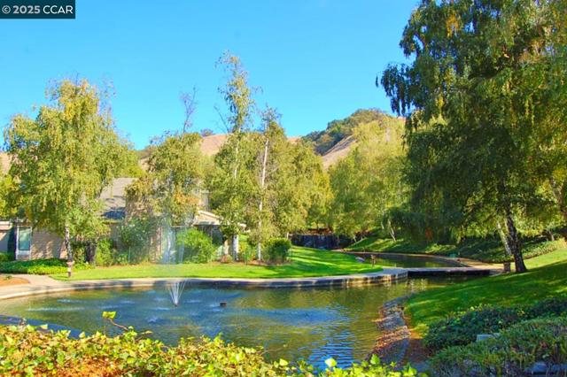 1316 Rockledge Ln, Walnut Creek CA: https://media.crmls.org/mediaz/0f94727a-2a92-414d-b7ba-57cf148d0b9f.jpg