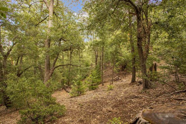 Detail Gallery Image 26 of 36 For 21932 Crestline Rd, Palomar Mountain,  CA 92060 - 1 Beds | 1 Baths