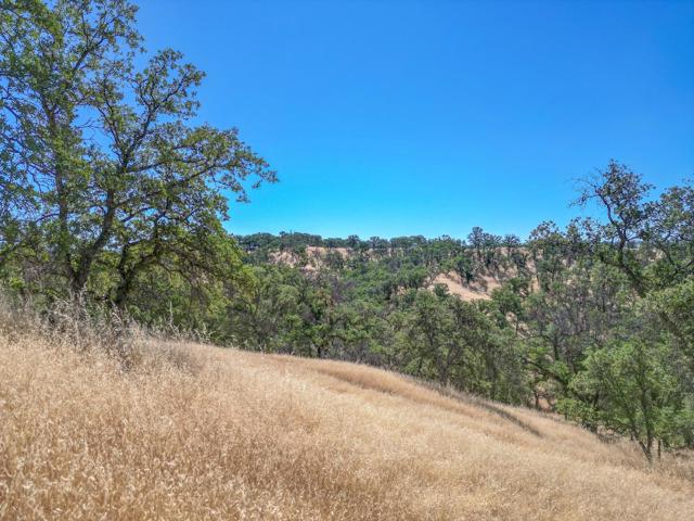 0 Wood Duck Pass Road, Red Bluff CA: https://media.crmls.org/mediaz/0f98ec55-b016-4db9-bec9-6e0bf5491a06.jpg