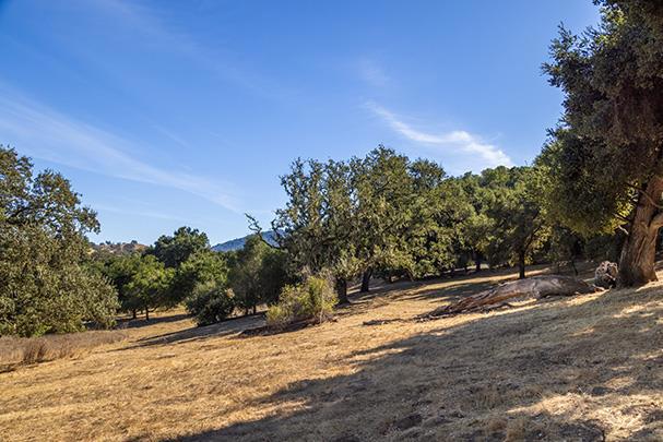 3 Via Vaquera, Carmel CA: https://media.crmls.org/mediaz/0f9d2907-202a-430c-bc22-f87b54561941.jpg