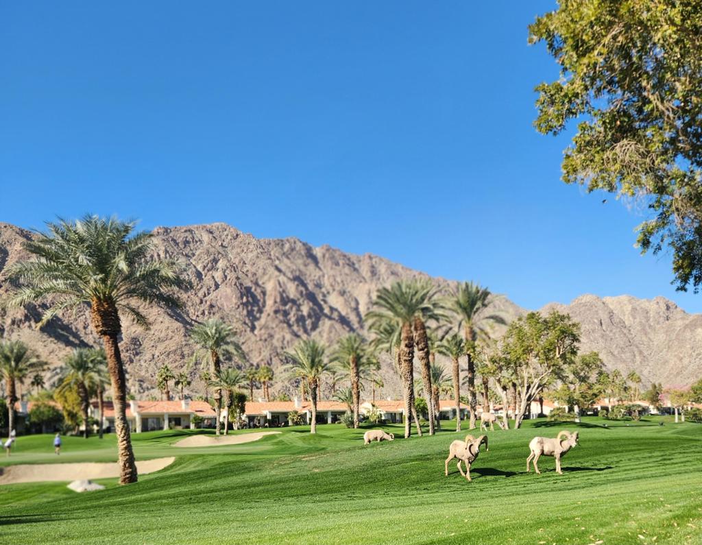 MLS #219136046DA image #47