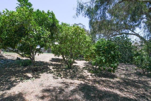 3096 Coral Tree Lane, Fallbrook CA: https://media.crmls.org/mediaz/0fa1f707-1202-4e5a-916e-047bd1ae1cb7.jpg