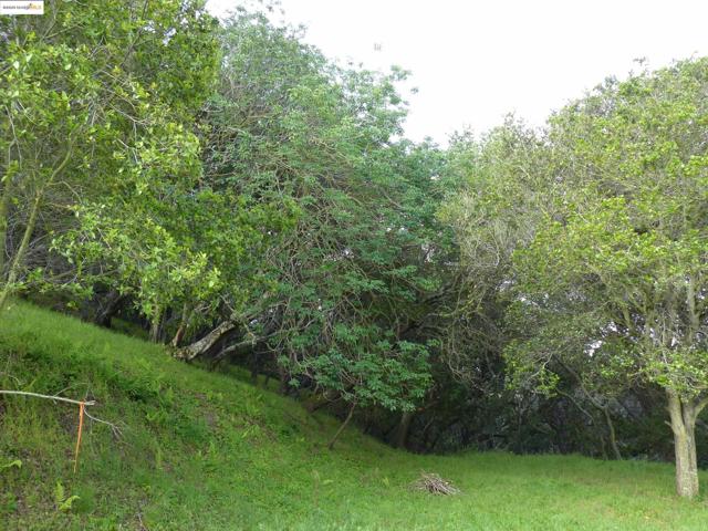 11275 Kerrigan Dr, Oakland CA: https://media.crmls.org/mediaz/0fa7d737-b4f9-4833-8031-ccb123938e78.jpg