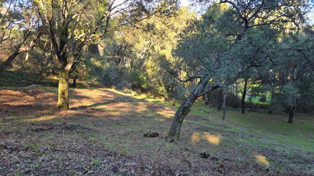 245 Gillette Road, Watsonville CA: https://media.crmls.org/mediaz/0fb9c0b6-e59a-4f61-a391-b1807abe00db.jpg