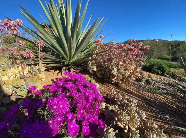 1313 Rice Canyon Rd, Fallbrook, California 92028, ,Land,For Sale,1313 Rice Canyon Rd,CRNDP2410465