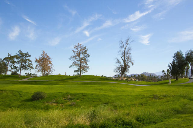 705 Vista Lago Circle N, Palm Desert, CA 92211