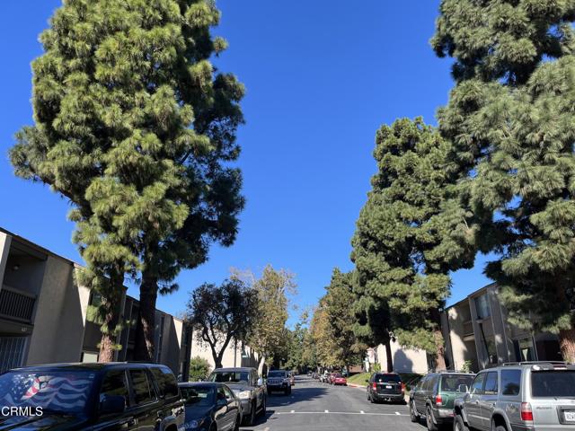 1627 Squirrel Lane, Ventura CA: https://media.crmls.org/mediaz/0ff204d4-c330-4ead-b2d7-d57f2285d63b.jpg