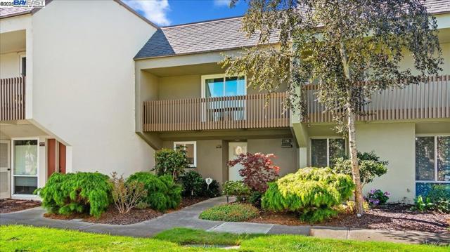3027 Alta Vista, Alameda CA: https://media.crmls.org/mediaz/0ff24534-efb7-44c4-a71d-8f48ad29ede5.jpg