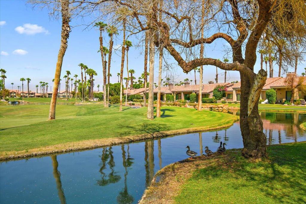 MLS #219137943DA image #33